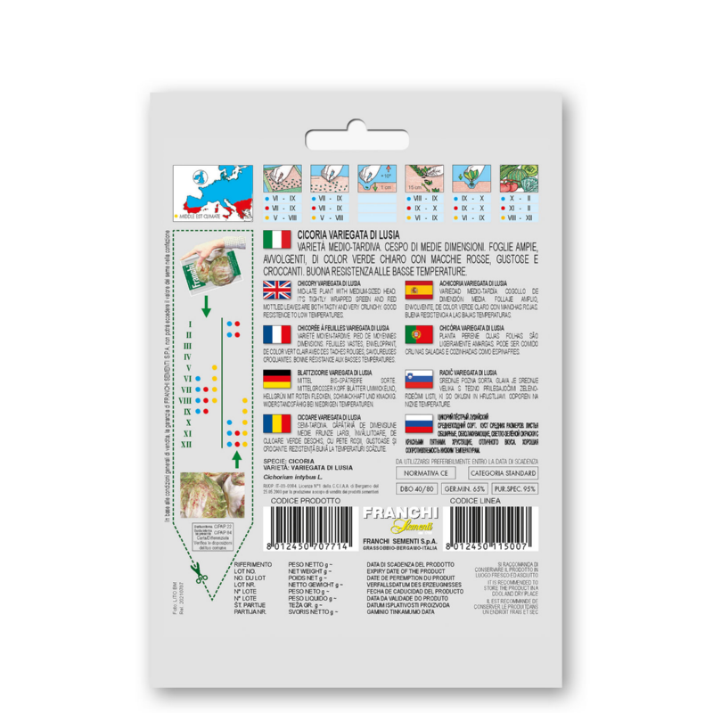 Fr Cichory, Cicoria var.di Lusia 40/80