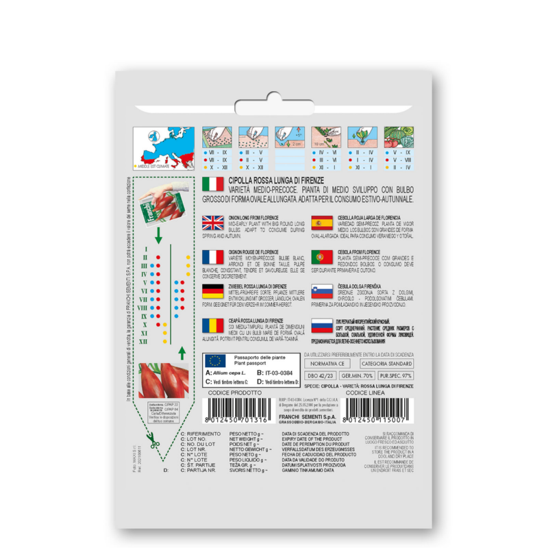 Fr Cipolla rossa Lunga Da Firenze 42/23
