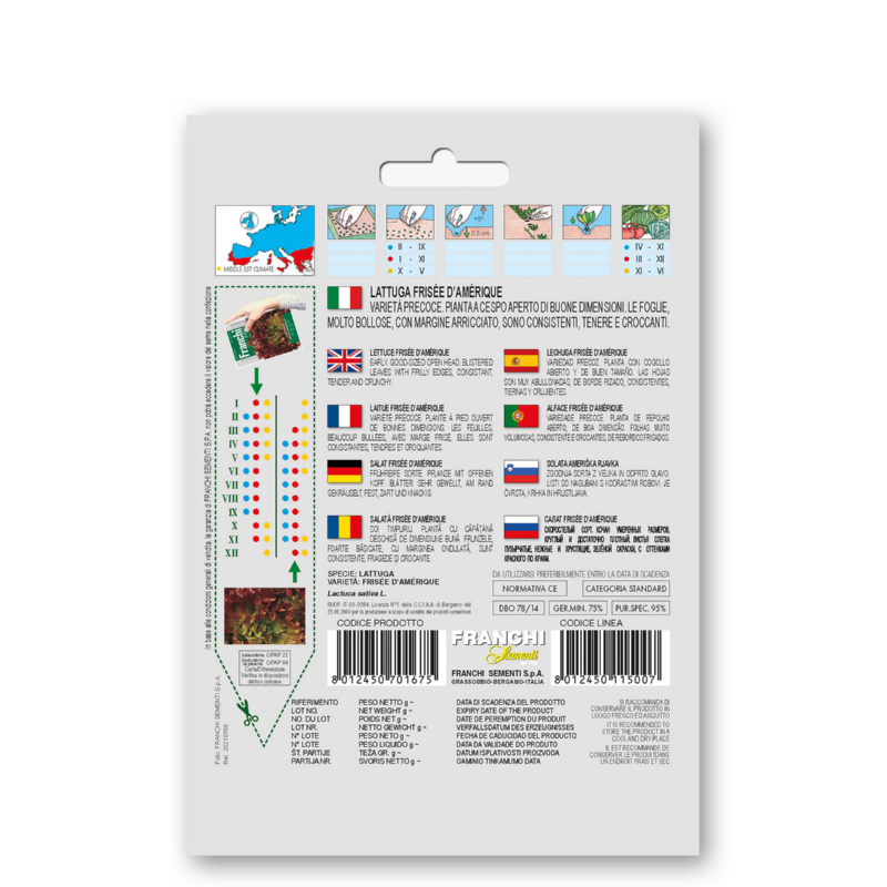 Fr Lattuga Riccia Invernale 78/14