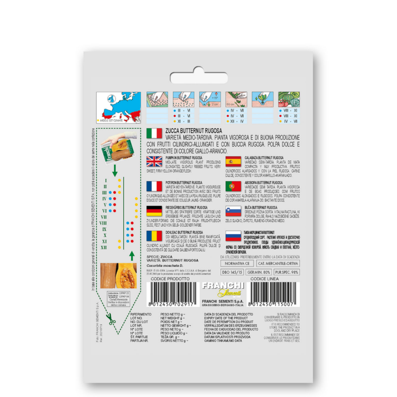 Fr Zucca Butternut rugosa 145/15