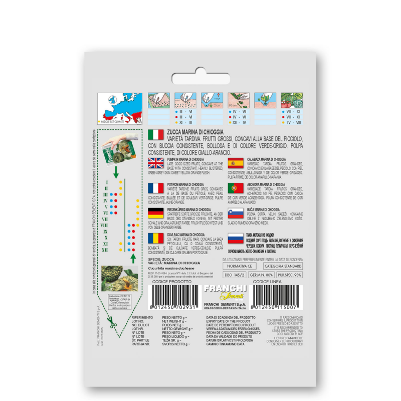 Fr Pompoen, Zucca marina di Chioggia 145/2