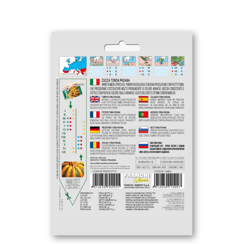 Fr Zucca Tonda Padana 145/13