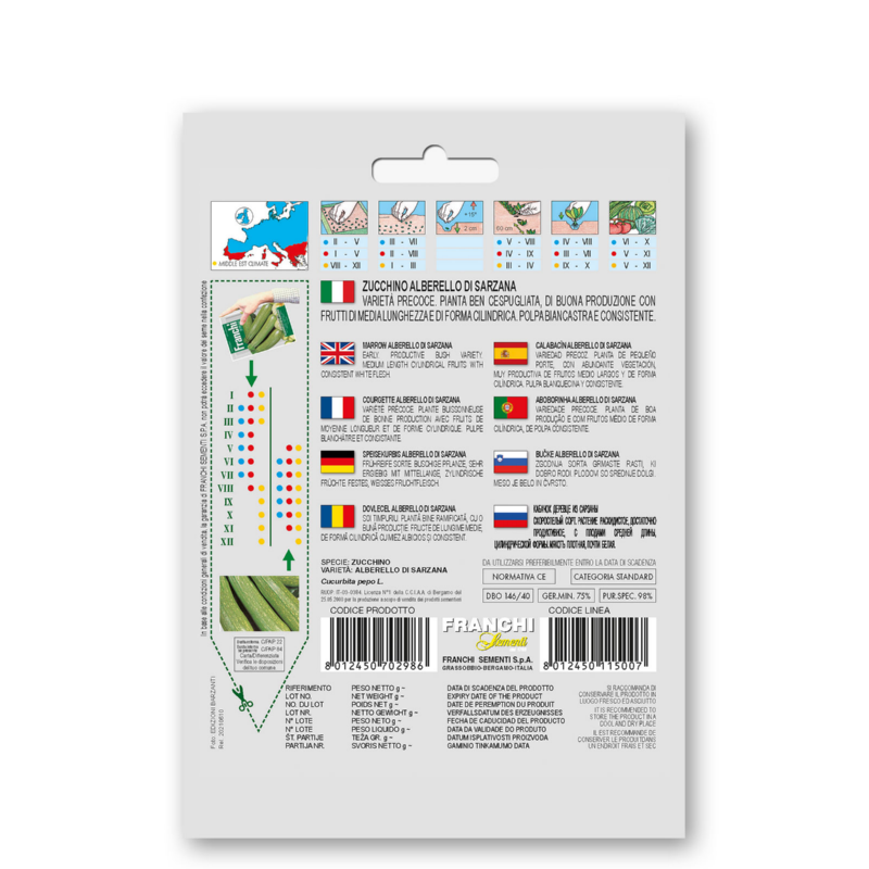 Fr Zucchino Alberello Di Sarzana - Courgette