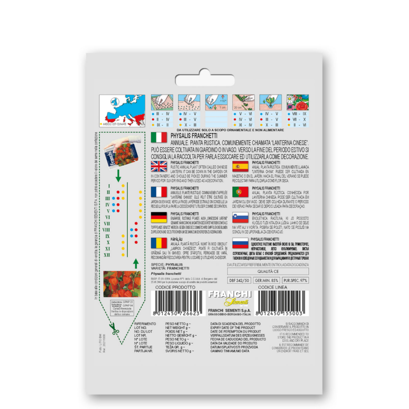 Fr Physalis franchetti - 342/50