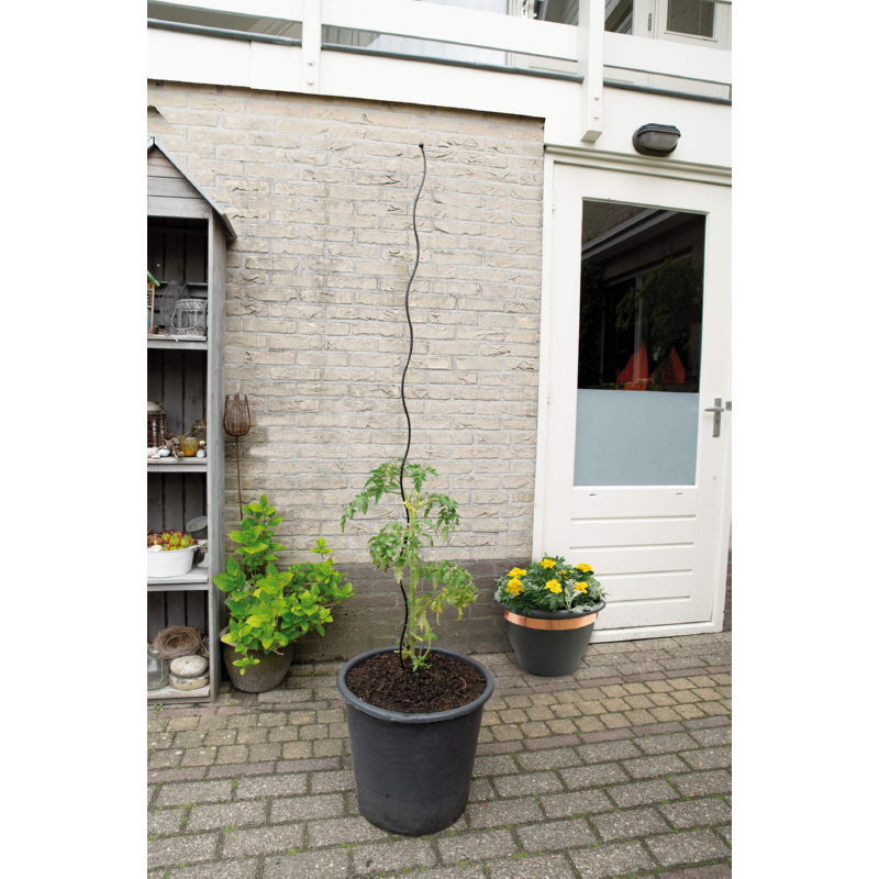 SOGO Tomaten spiraal 3st 180cm
