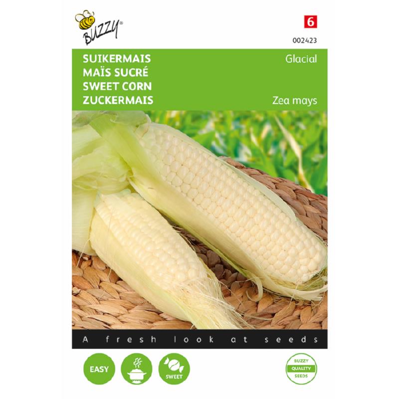 Buzzy® Sweet corn Glacial