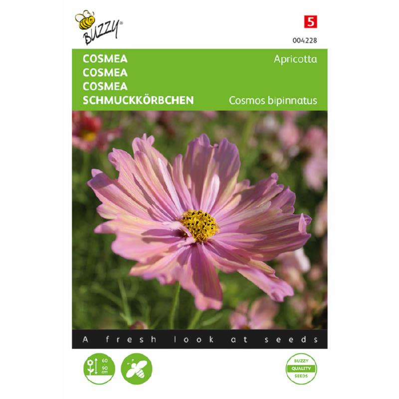 Buzzy® Cosmea Apricotta