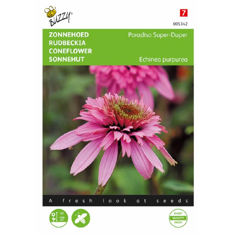 Buzzy® Echinacea, Zonnehoed Paradiso Super-Duper