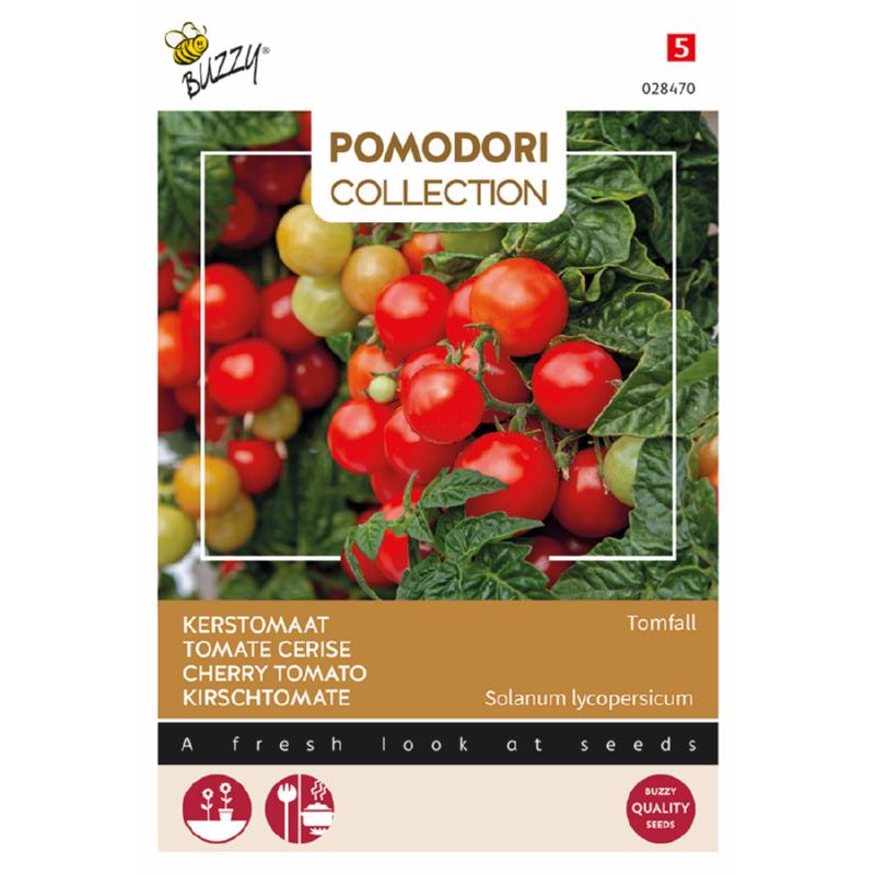 Buzzy® Pomodori, Cherry tomato Tomfall
