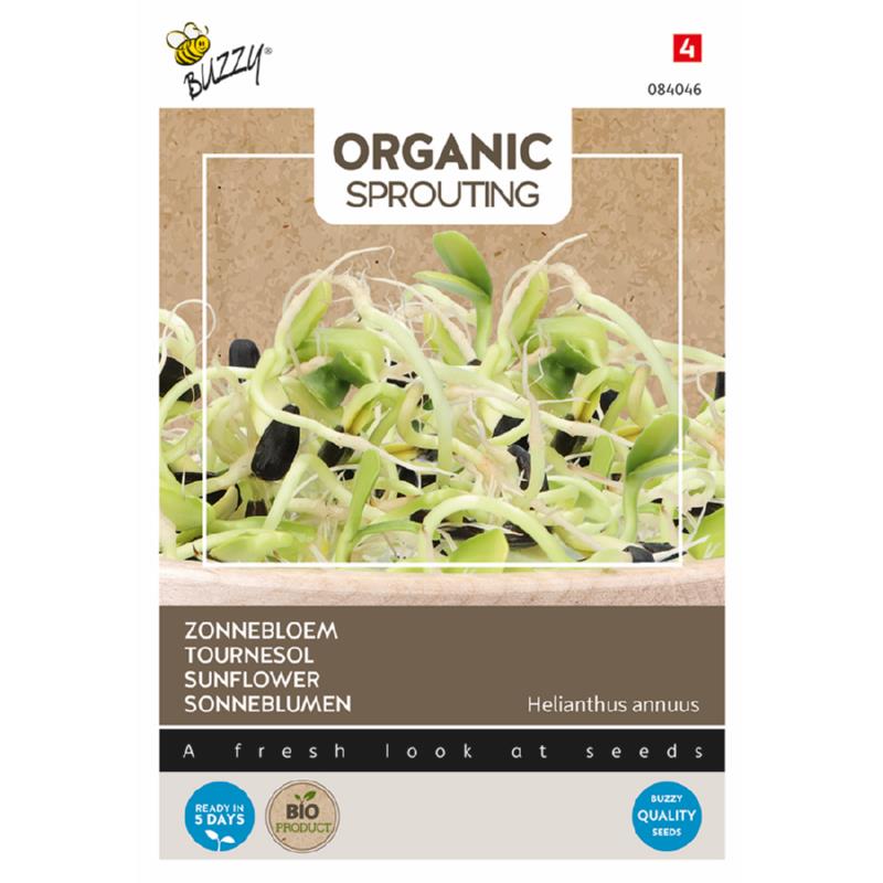 Buzzy® Organic Sprouting Zonnebloem  (BIO)