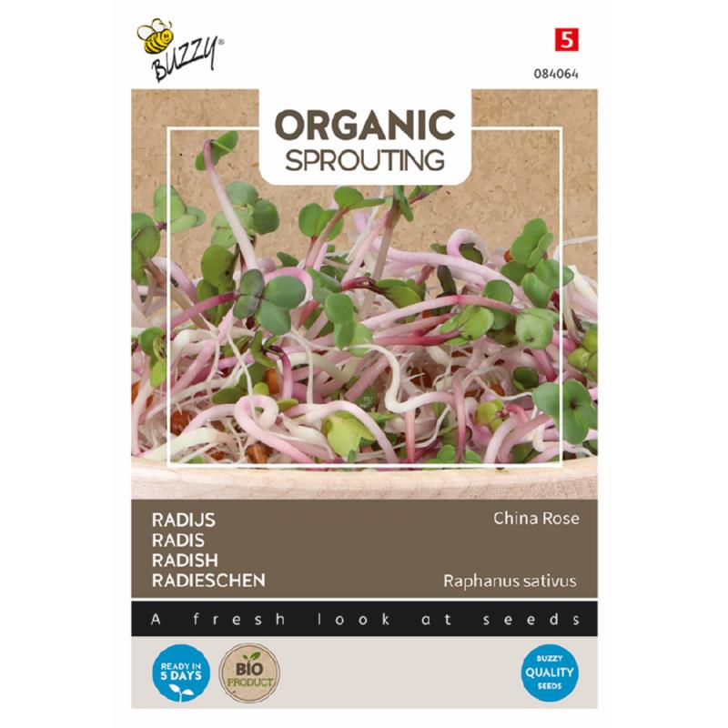 Buzzy® Organic Sprouting Radish China Rose (BIO)