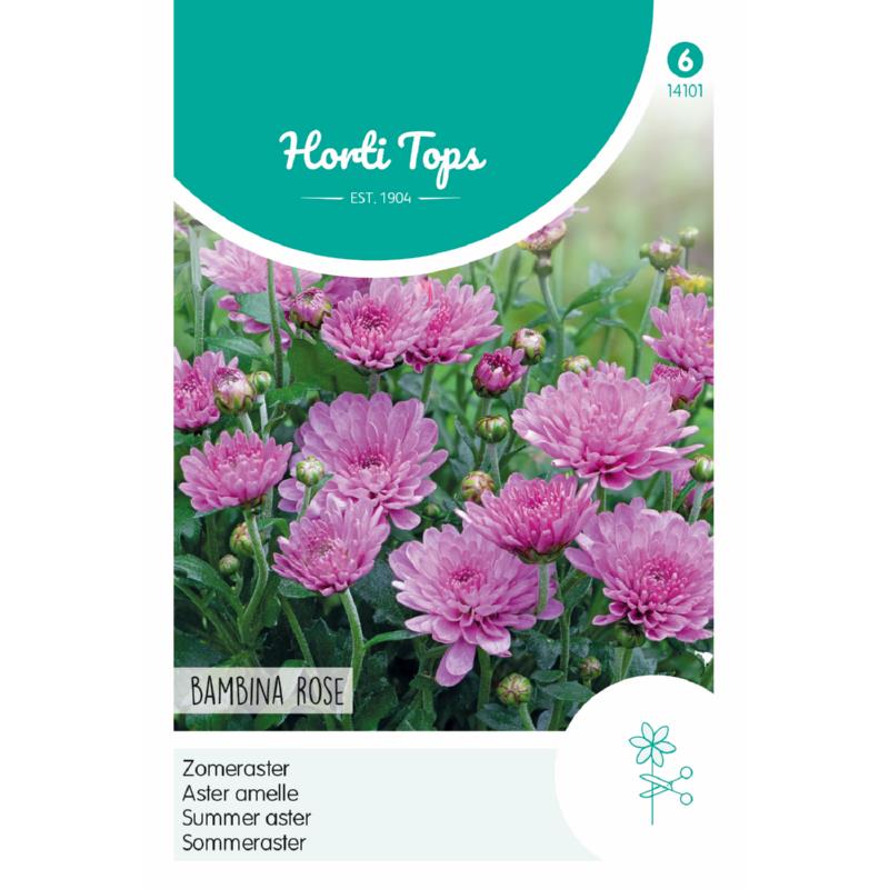 Horti Tops® Summer aster Bambina Rose