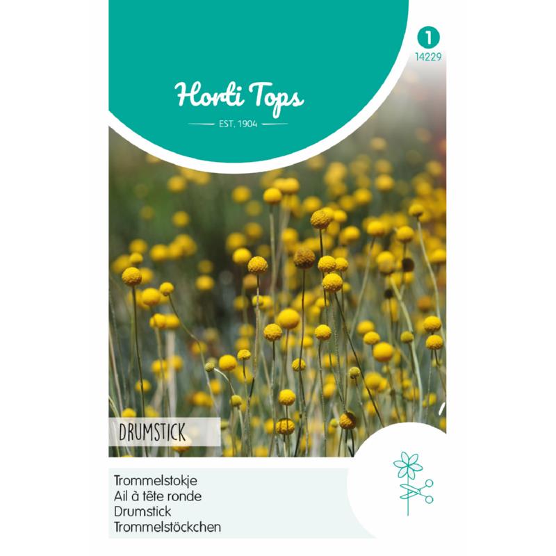 HT Craspedia, Trommelstokje Drumstick