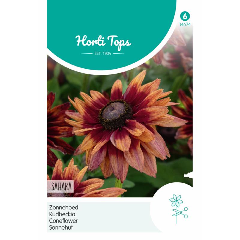 Horti Tops® Rudbeckia Sahara
