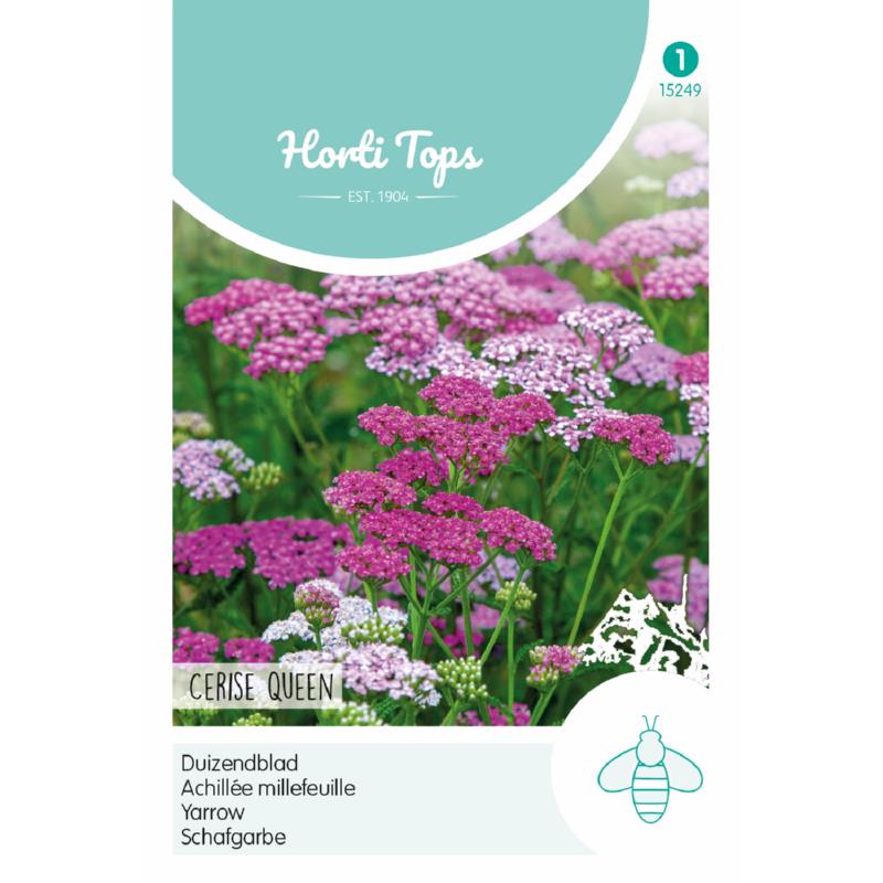 Horti Tops® Achillea Cerise Queen