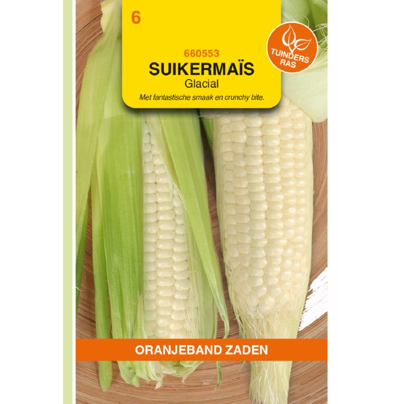 OBZ Suikermais Glacial