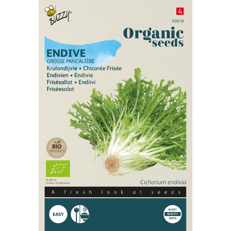 Buzzy® Organic Krulandijvie Grosse Pancalière  (BIO)