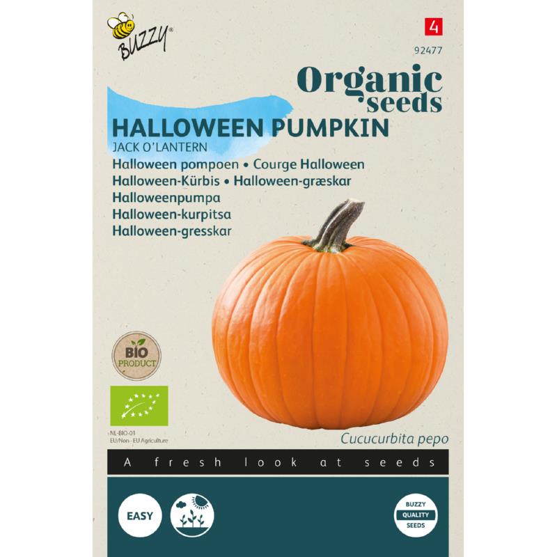 Buzzy® Organic Pumpkin Jack O' Lantern  (BIO)