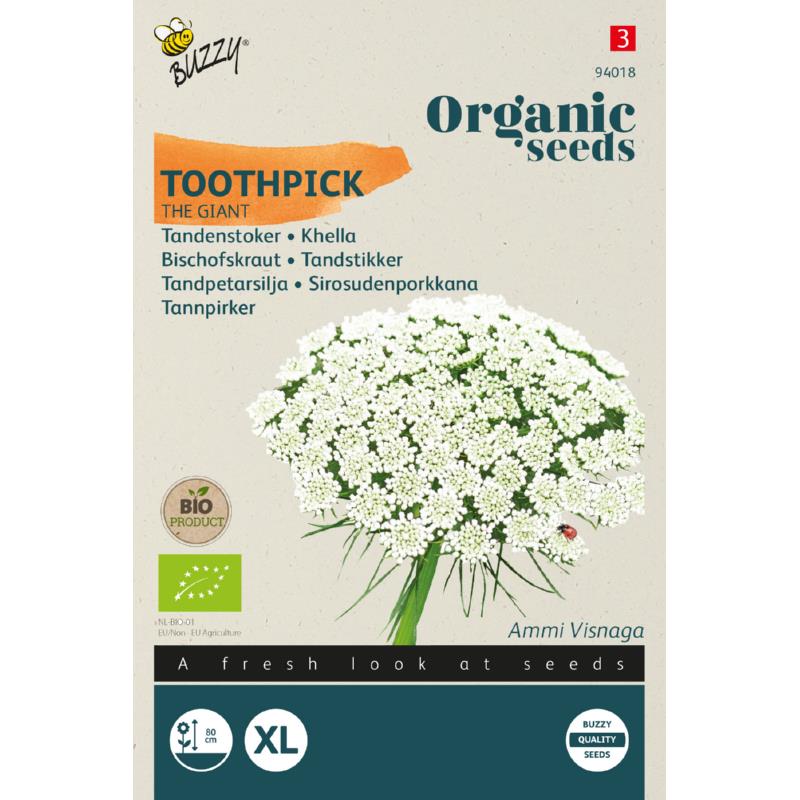 Buzzy® Organic Toothpick The Giant  (BIO)