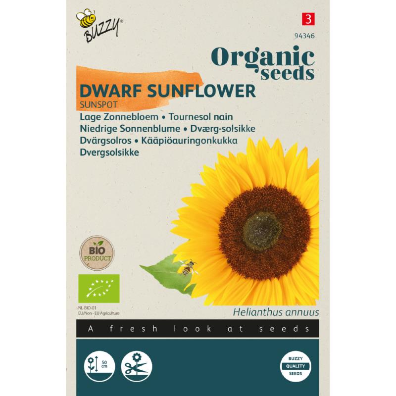 Buzzy® Organic Dwarf Sunflower Sunspot(BIO)