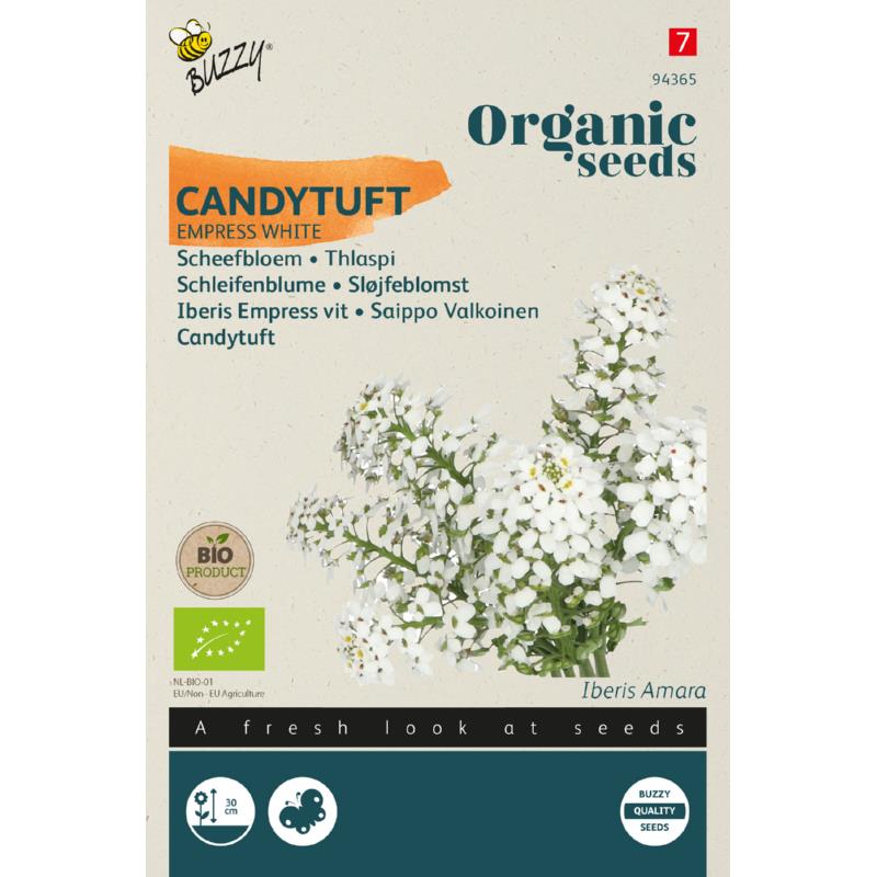 Buzzy® Organic Candytuft Empress white