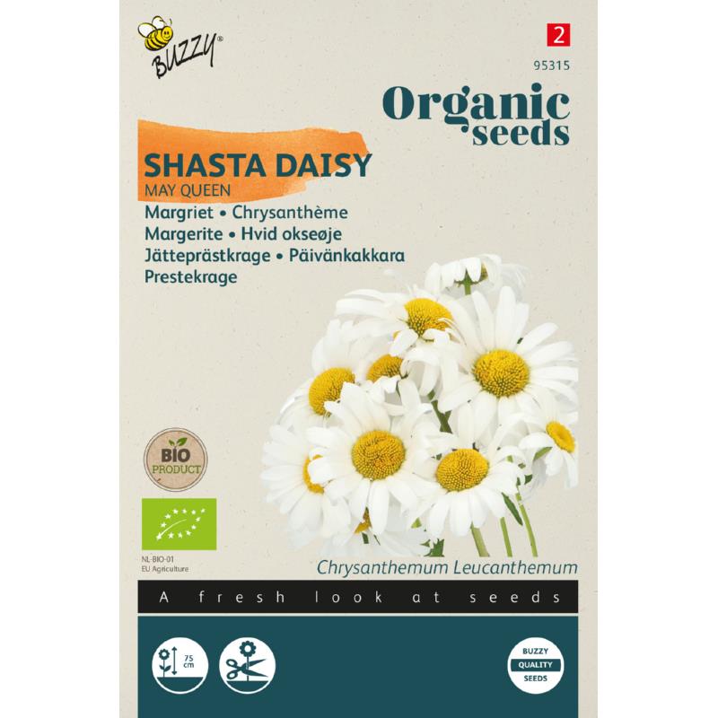 Buzzy® Organic Shasta daisy May Queen