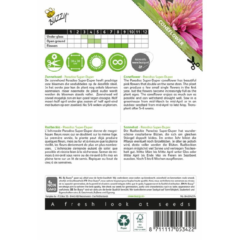 Buzzy® Echinacea, Zonnehoed Paradiso Super-Duper