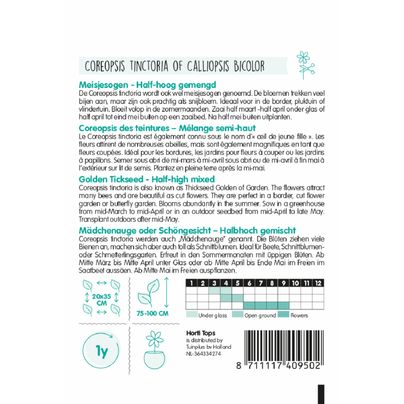 HT Calliopsis, Meisjesogen half-hoog gemengd