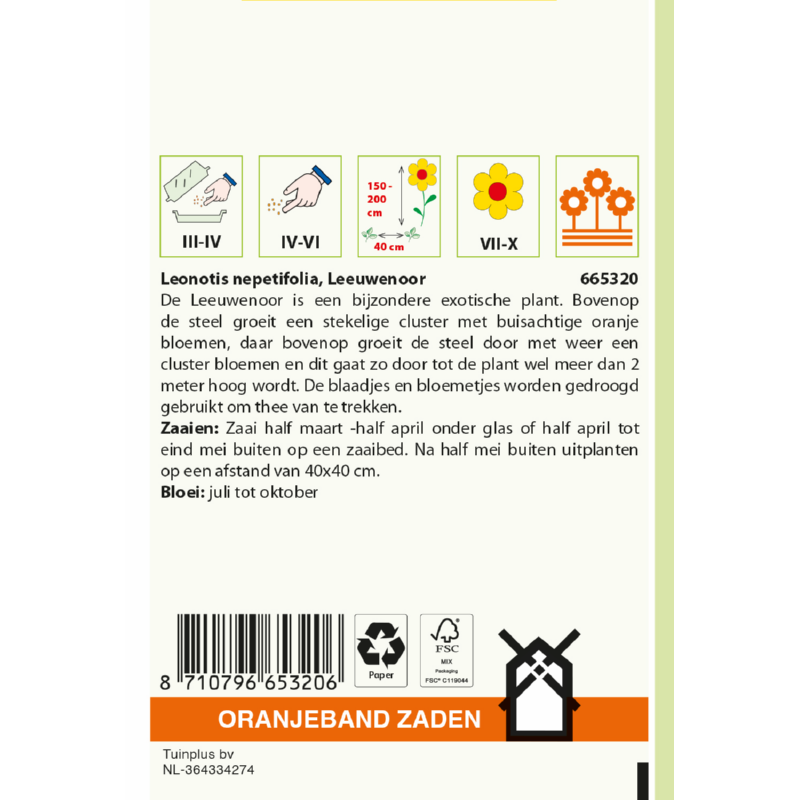 Oranjeband® Leonotis nepetifolia