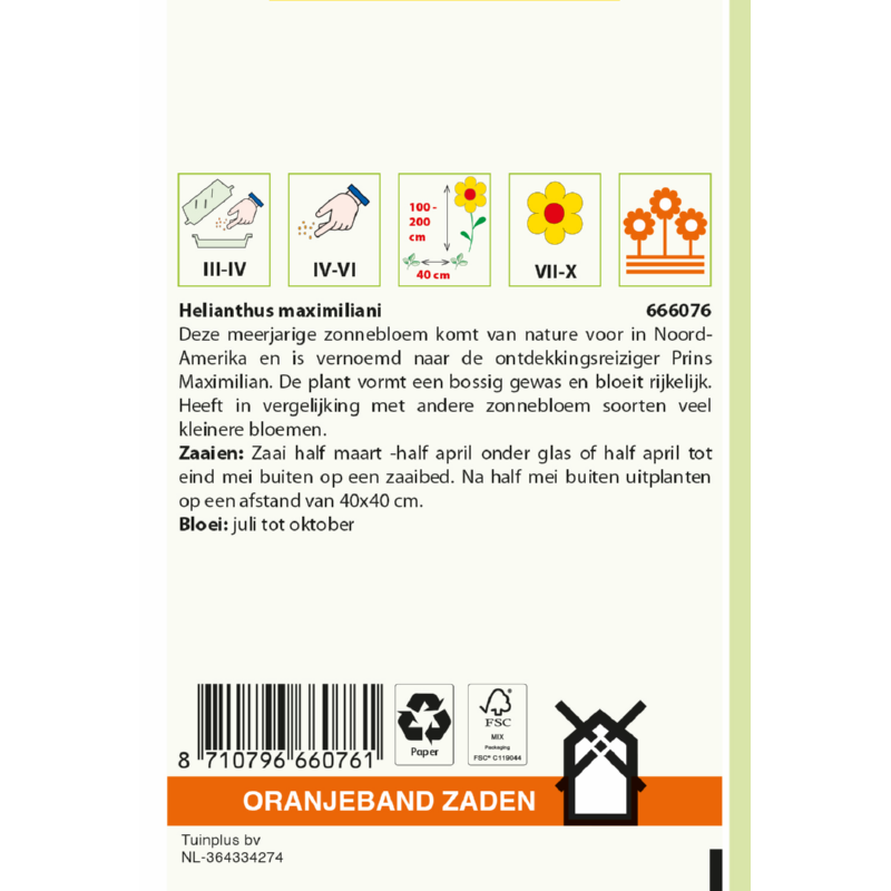 Oranjeband® Helianthus Maximilian