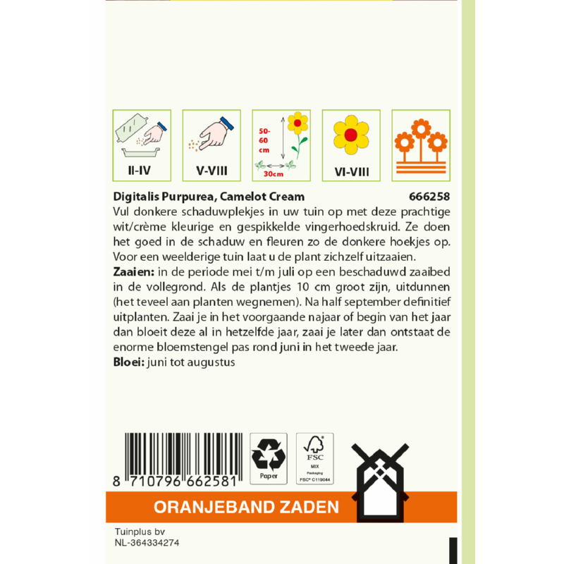 Oranjeband® Digitalis Camelot Cream