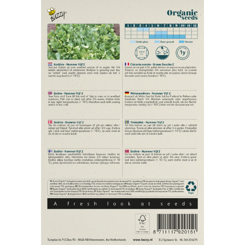 Buzzy® Organic Andijvie Nummer Vijf 2 (BIO)