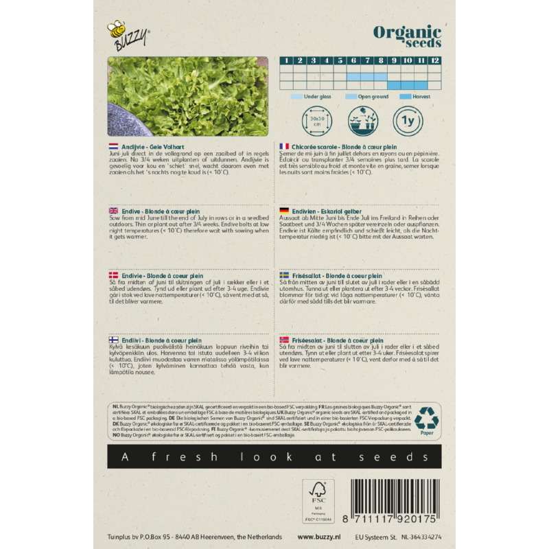 Buzzy® Organic Andijvie Gele Volhart  (BIO)