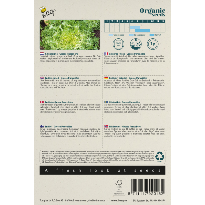 Buzzy® Organic Krulandijvie Grosse Pancalière  (BIO)