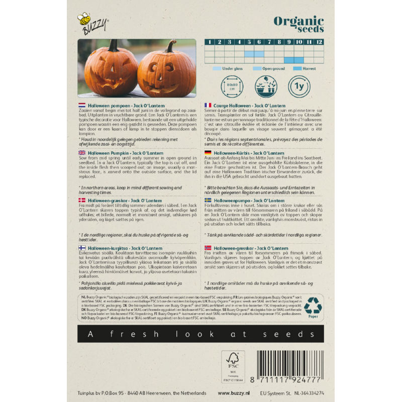 Buzzy® Organic Pumpkin Jack O' Lantern  (BIO)