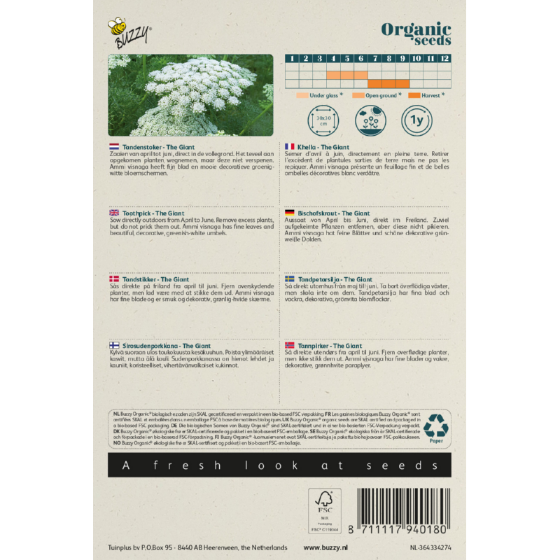 Buzzy® Organic Toothpick The Giant  (BIO)