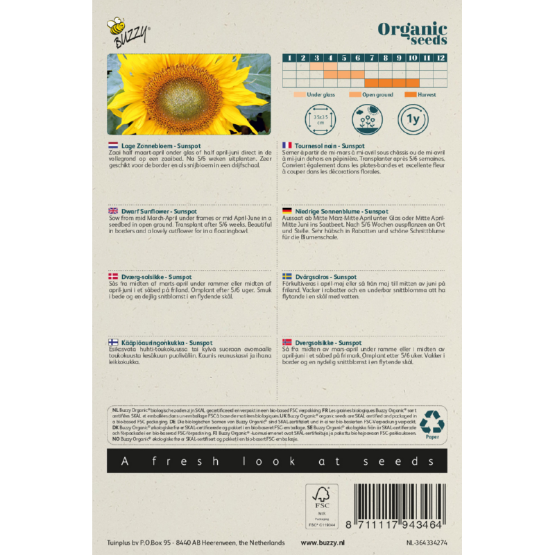 Buzzy® Organic Dwarf Sunflower Sunspot(BIO)