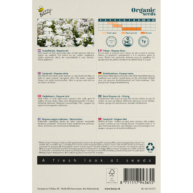 Buzzy® Organic Candytuft Empress white