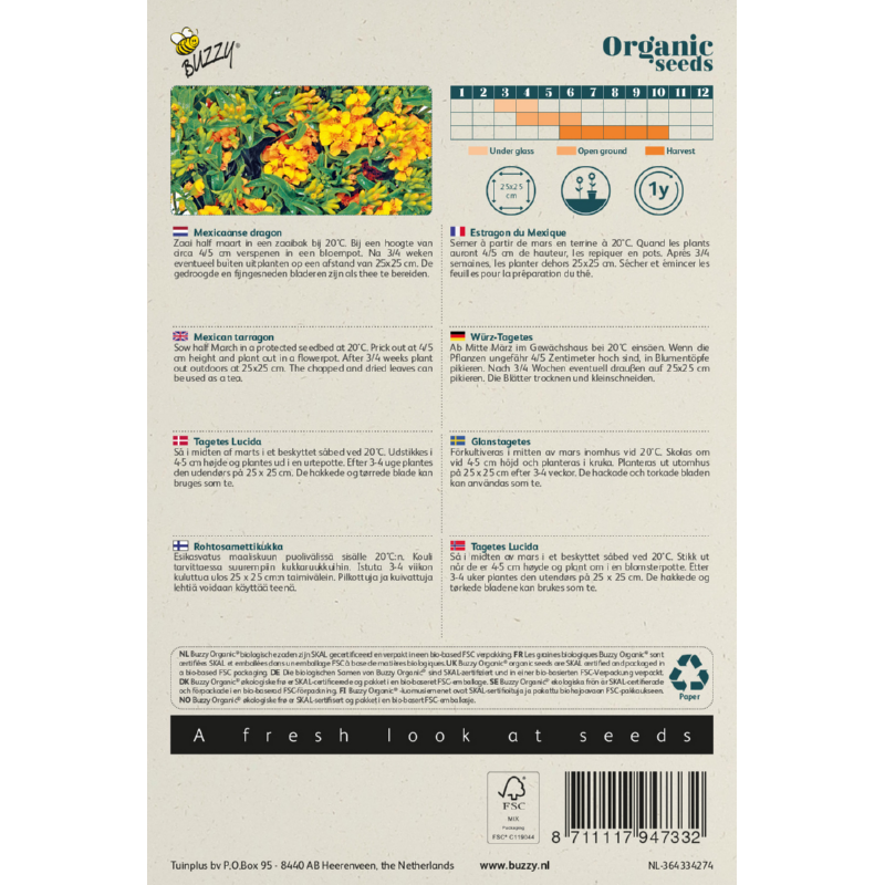 Buzzy® Organic Mexican mint - Marigold(BIO)