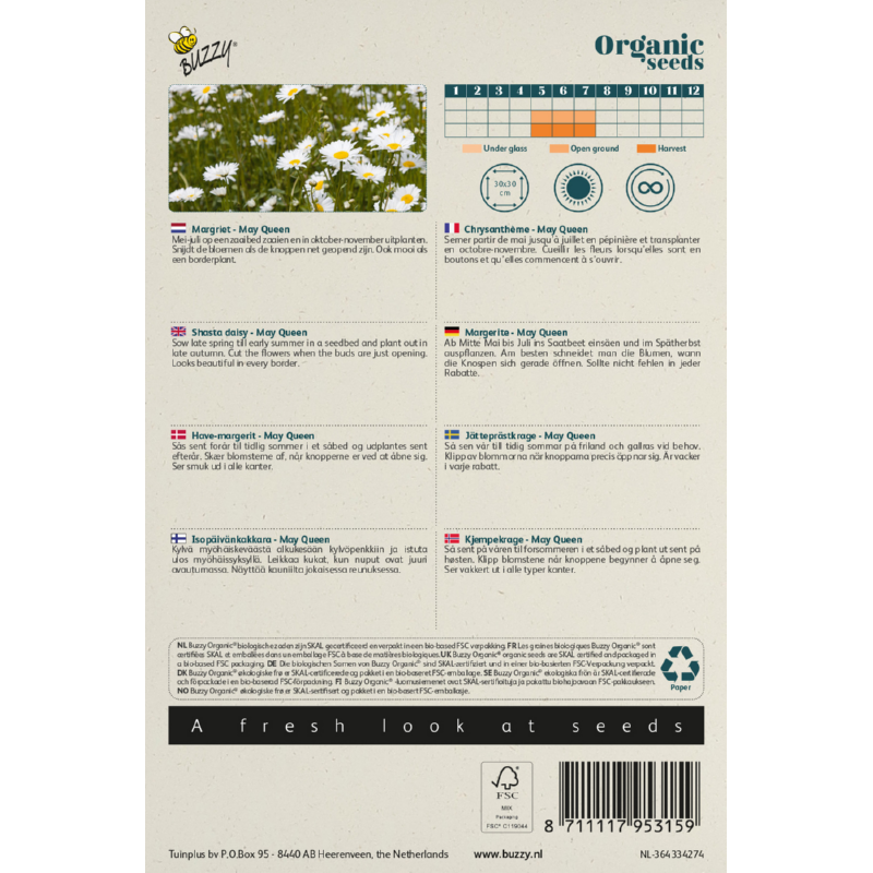 Buzzy® Organic Shasta daisy May Queen