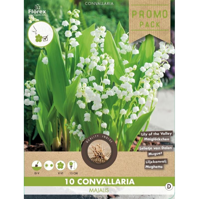 Convallaria majalis 10pcs.