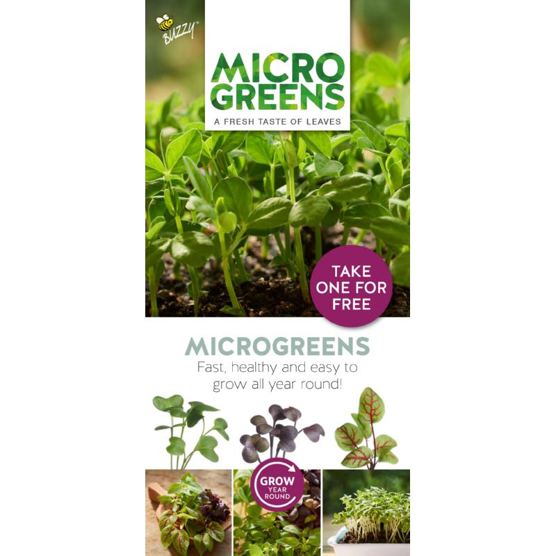 Brochure Buzzy Microgreens English