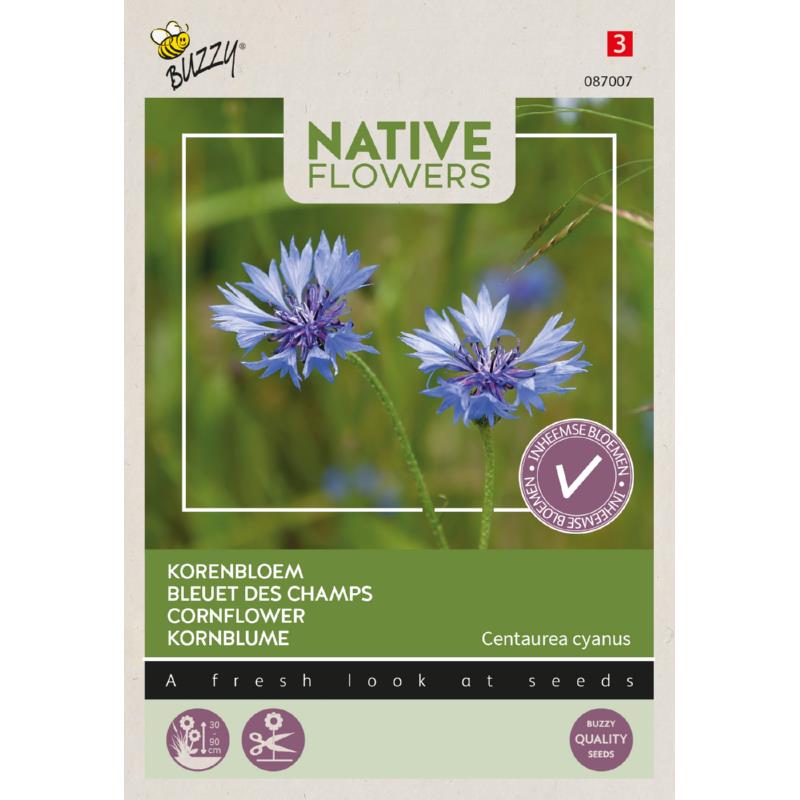 Buzzy® Native Flowers, Cornflower
