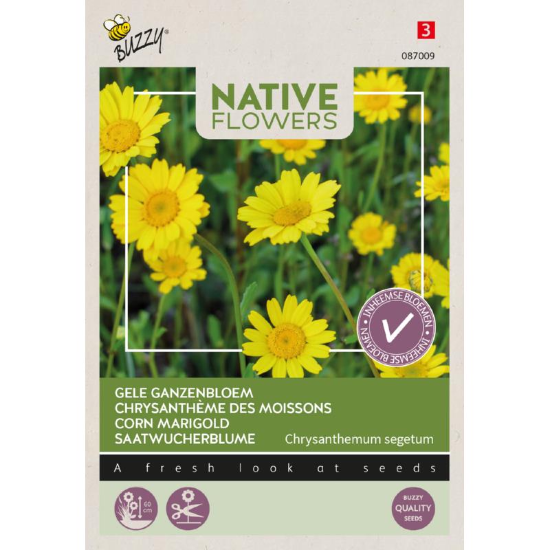 Buzzy® Native Flowers, Gele Ganzenbloem