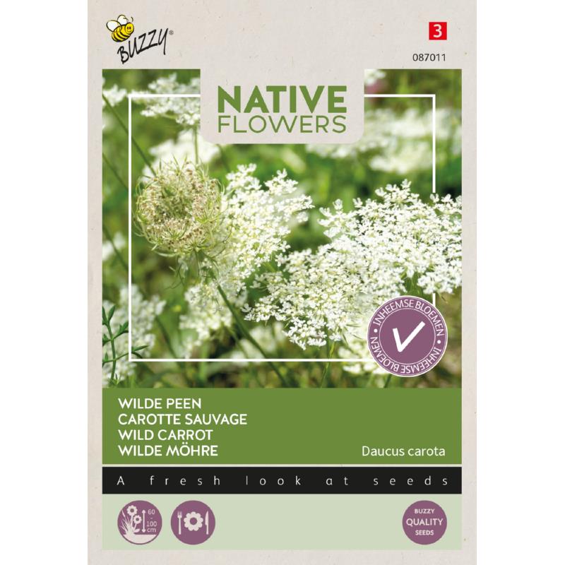 Buzzy® Native Flowers, Wilde Peen