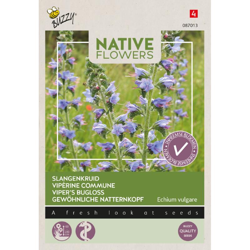 Buzzy® Native Flowers, Viper’s Bugloss