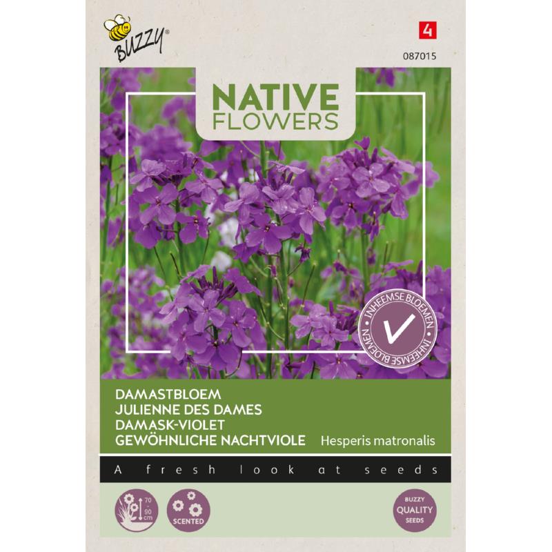 Buzzy® Native Flowers, Damask-violet