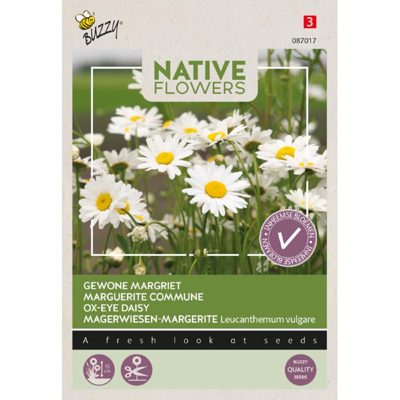 Buzzy® Native Flowers, Margriet