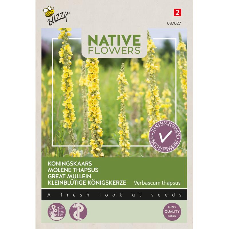 Buzzy® Native Flowers, Great Mullein
