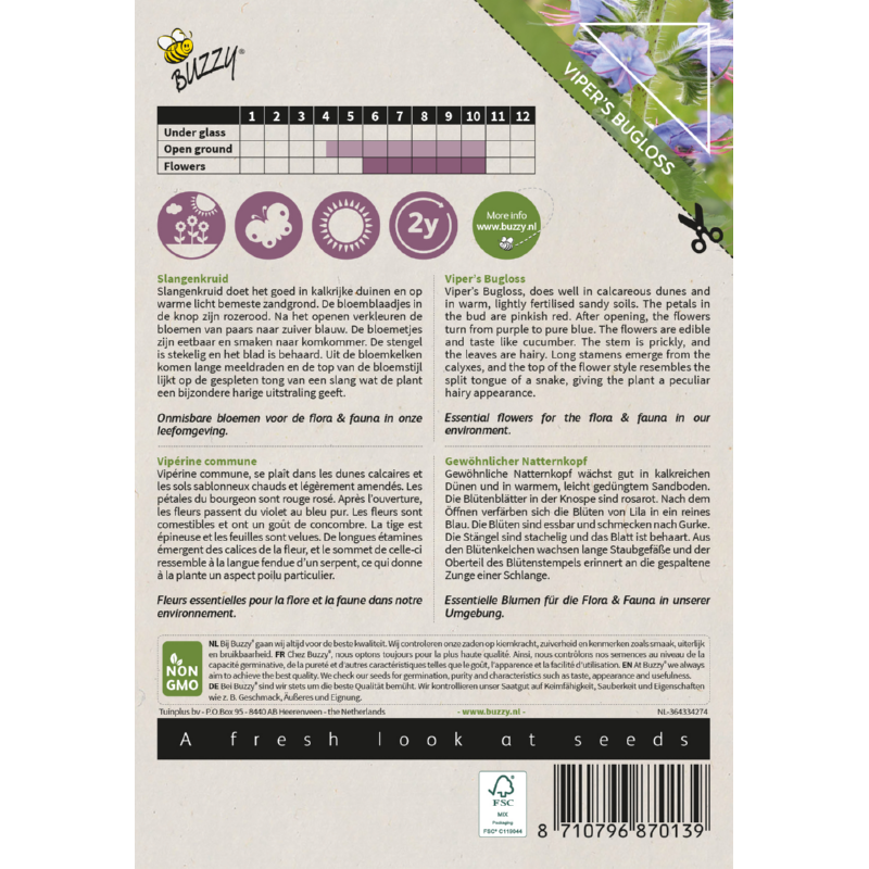 Buzzy® Native Flowers, Viper’s Bugloss